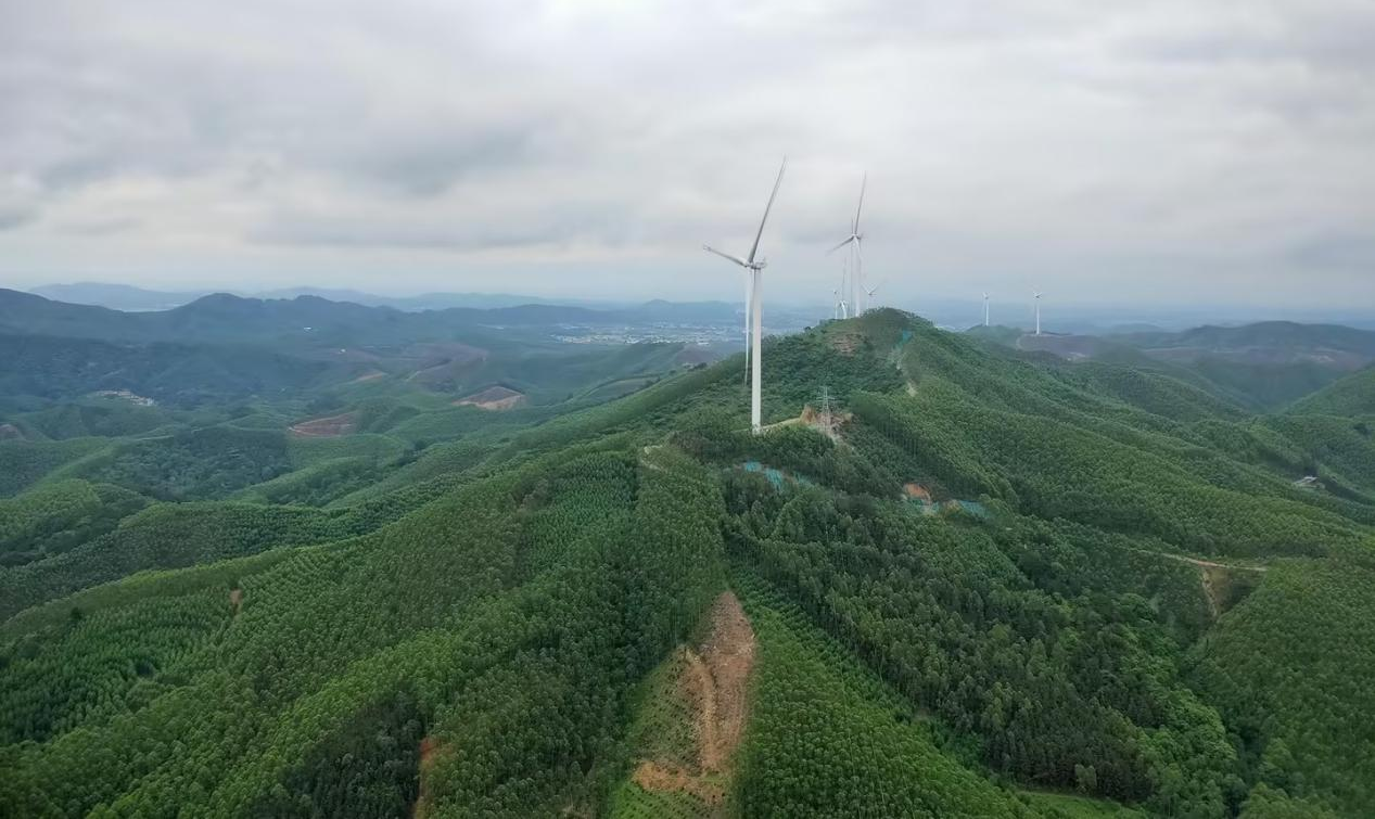微信图片_20240511091922.png