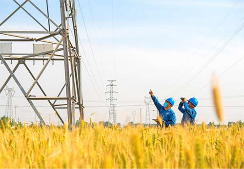 20220607185747596238646.jpg 20220607185747596238646.jpg