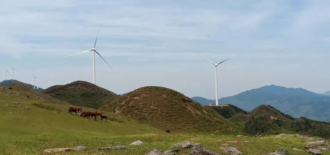 微信图片_20220602111820.jpg